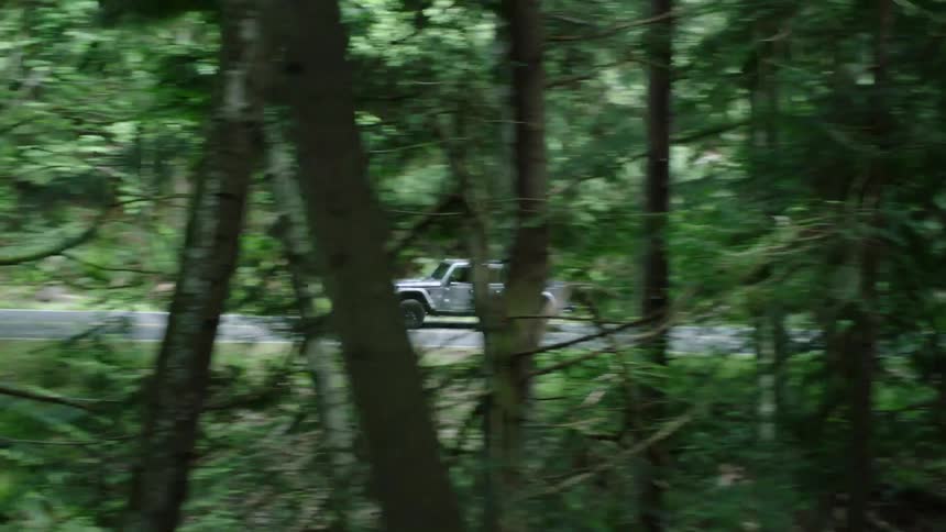 A car is driving on a road near a woodland area