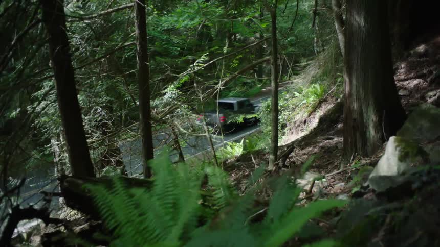 A truck traveling on a mountain road with forest trees and slope above