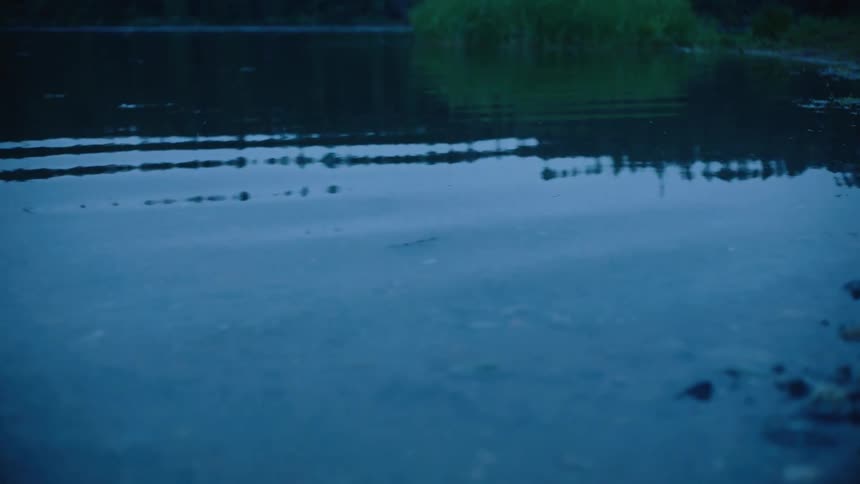The ripples move through the water