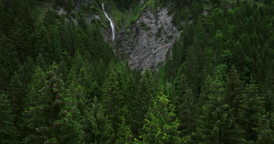 Aerial view of a wooded area with a waterfall is displayed