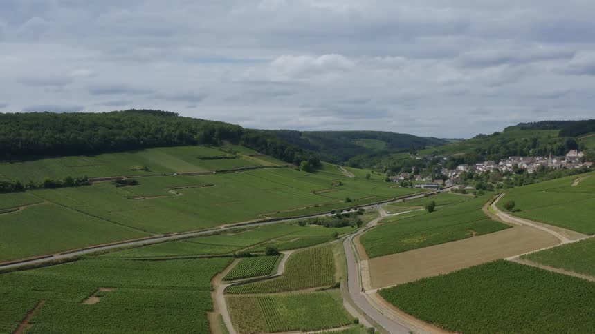 The view is of plants and grassland in the middle of the day time