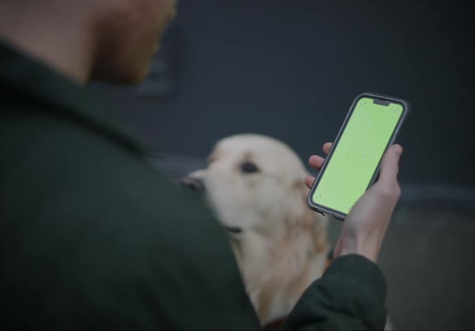 A man is holding a cell phone with a green screen and there is a white dog looking at him