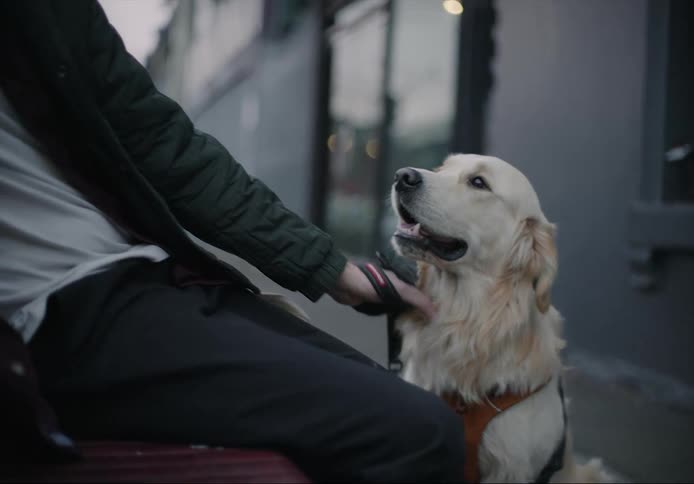 Young man sitting on a bench in the streets talks on his phone while petting his dog