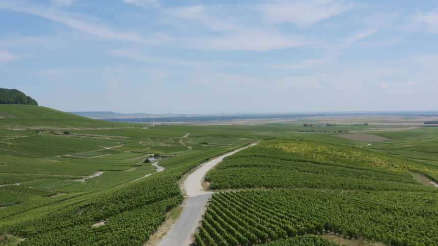 Aerial view of a road through crows of crops growing on the fields at daytime