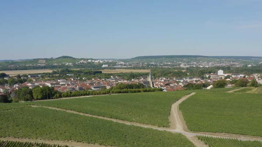 Green farm fields and rows of crops on a hill above a town