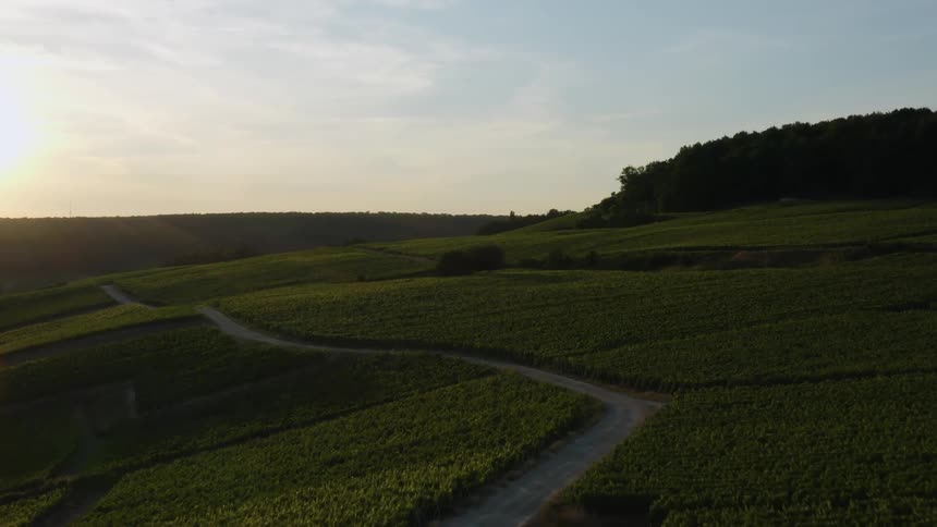 Aerial view of a grassland area during dusk is displayed