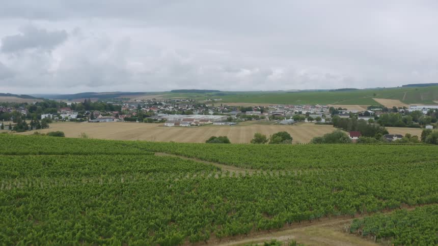 The view is of forest in the country side area