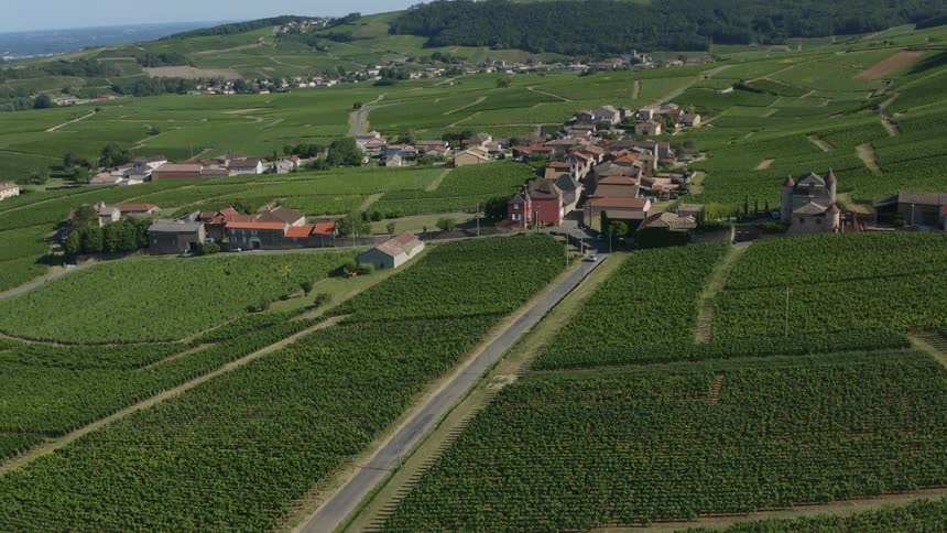 Car driving on a road trough a small rural town surrounded with fields growing crops