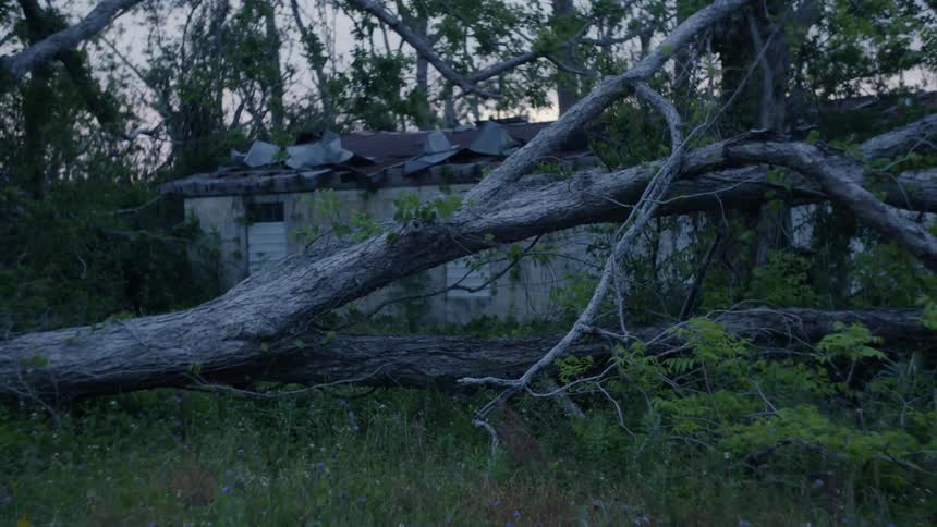Dead tree fallen to the ground in front of an abandoned house in a rural area at evening