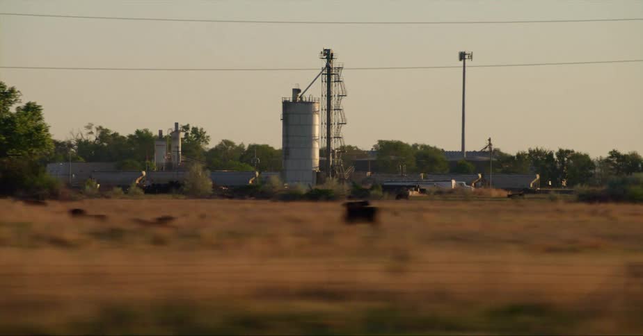 Train cars wait to be filled from an elevator at a grain bin as cows graze in a nearby field