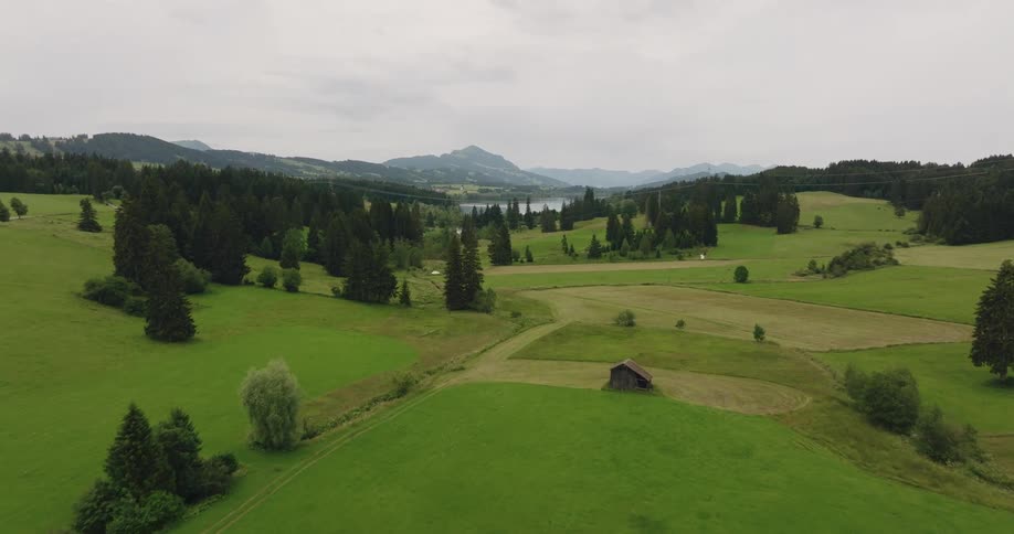 Aerial view of a grassland landscape is displayed