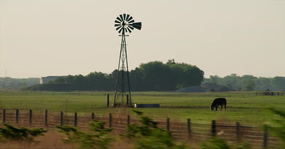 An animal is grazing in a wide open field next to a windmill with trees and mountains in the background