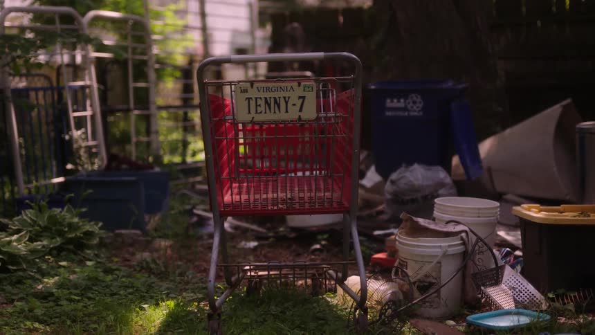 A shopping cart with a license plate sits in a backyard full of trash
