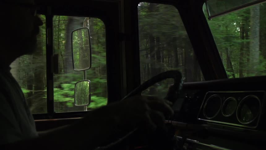 A man is driving a truck in a forest
