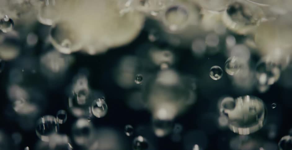 Bubbles are reflecting light as they quickly float upwards