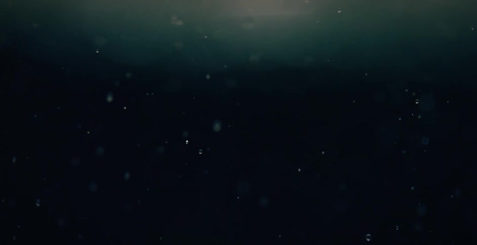 Bubbles float slowly toward the surface and the light