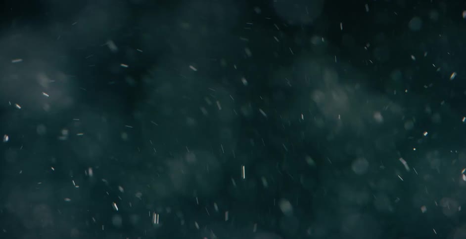 Bubbles are reflecting light as they quickly float upwards