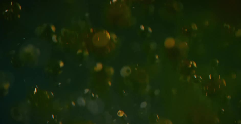 Extreme close up of air and red ink bubbles rising up on a thick green liquid