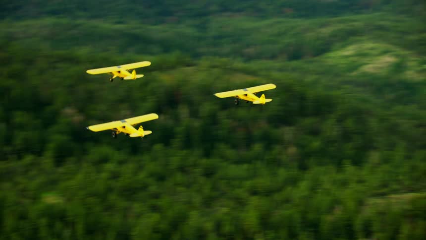 Five small airplanes are flying in formation over a heavily forested area and there are mountains in the distance