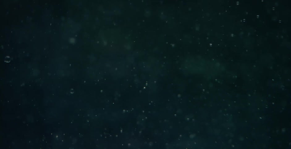 Small bubbles are floating as they move in the darkness