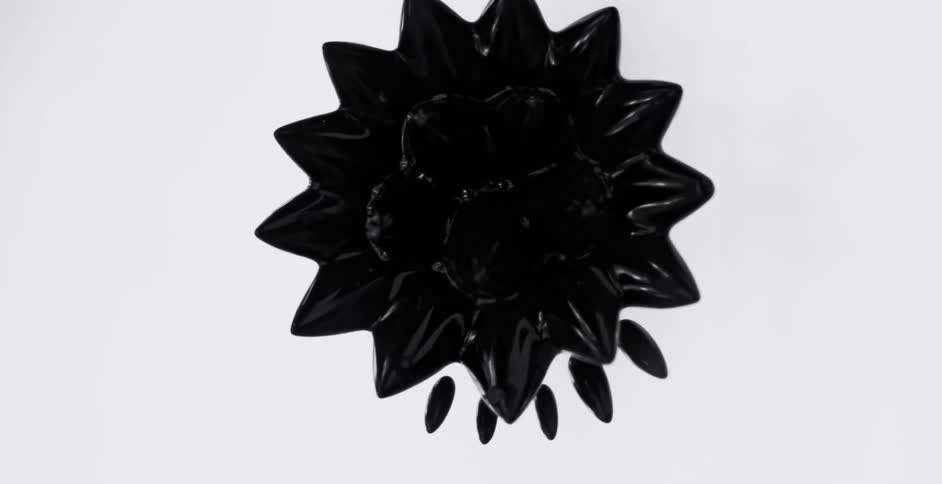Black ink is animated and becomes a three dimensional starlike flower
