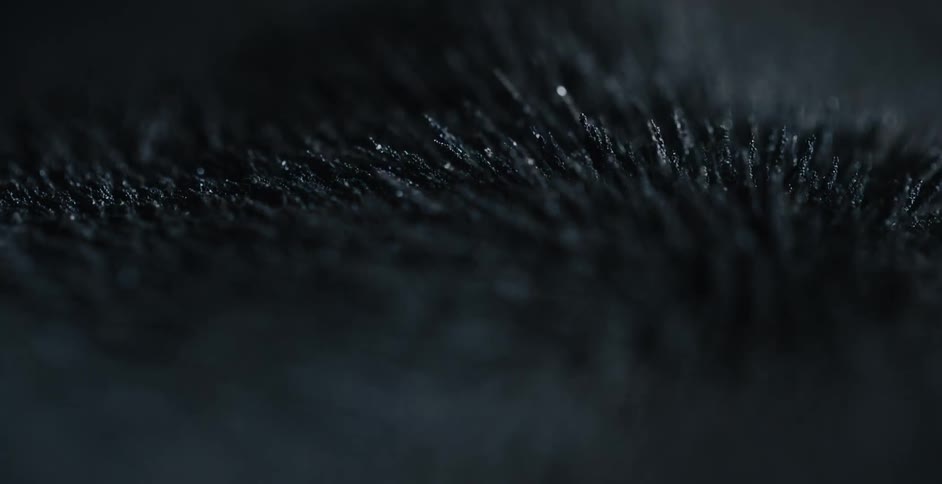 Light shines on iron shavings that are moving under the force of a magnet