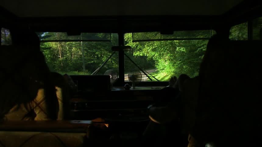 People ride in a vehicle down a small road in the forest