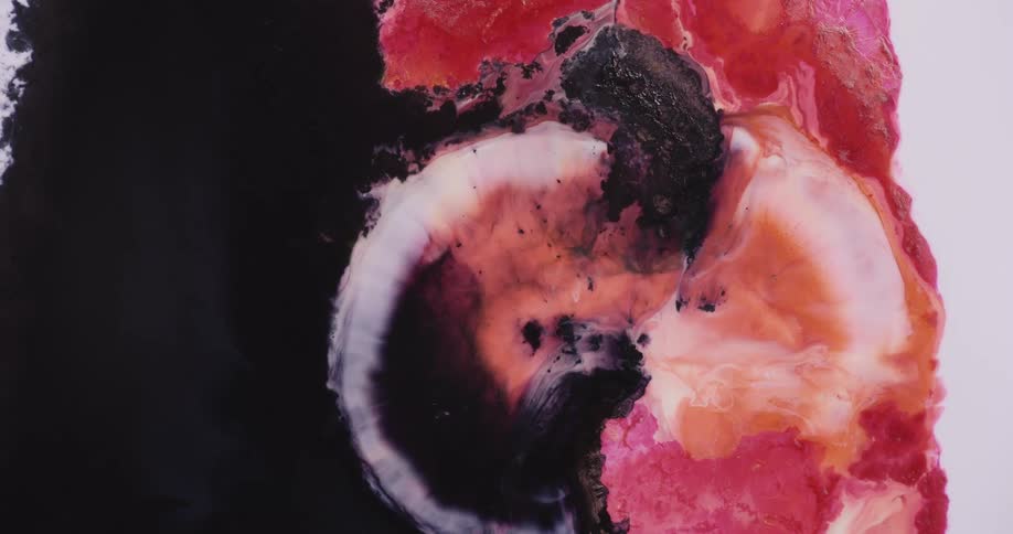 Bright pink and fushia liquid ink mixing with black ink over a white surface