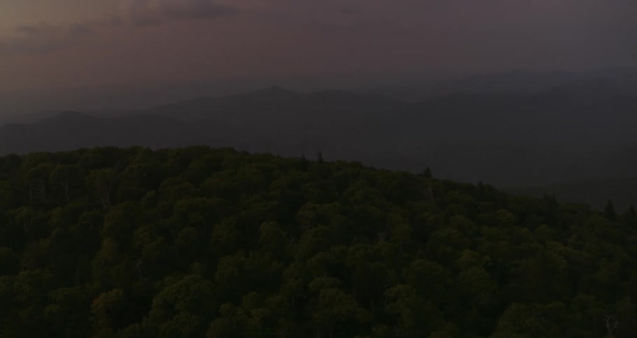 Aerial view of the gentle slopes of mountains convered in pine tree forests at evening