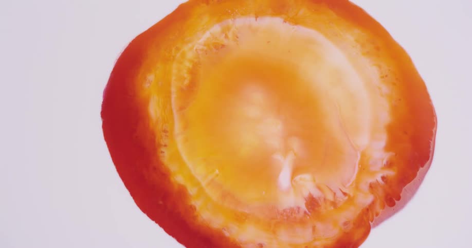 Bright red and yellow liquid ink blooms swirling over a white background