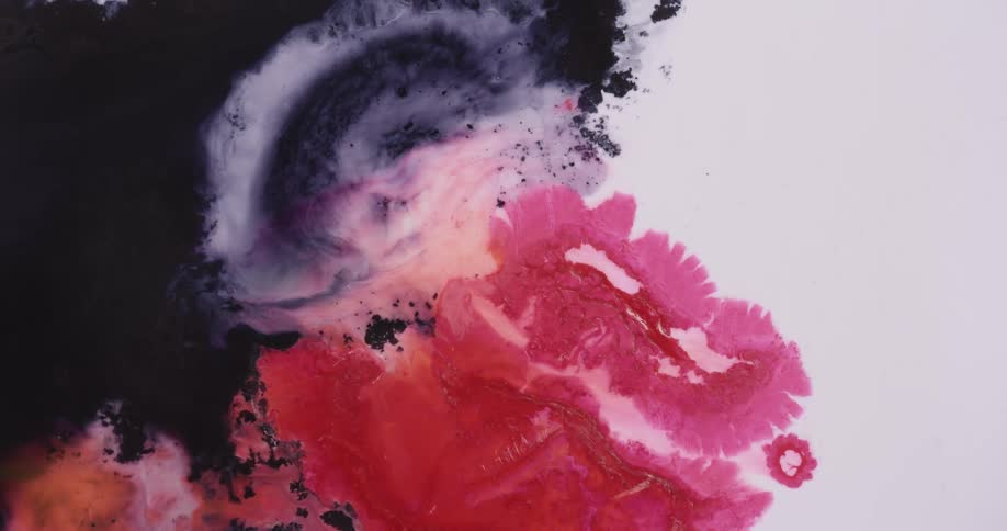 Dark blue and bright pink liquid ink blooming over a white background