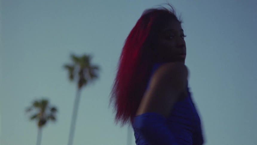 Female dancer dances outdoors with palm trees in the background