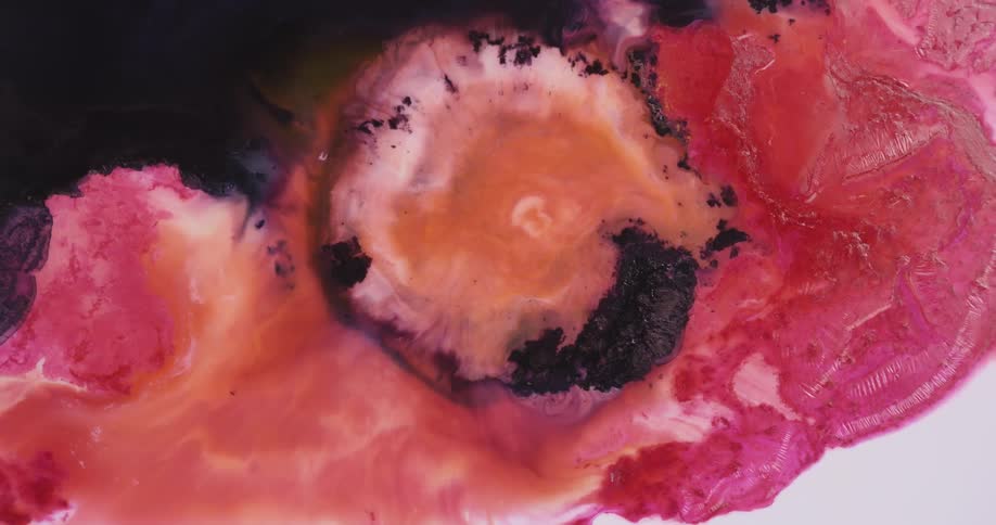 Bright pink and fushia liquid ink mixing with black ink over a white surface