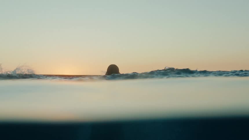 A couple jump fully clothed into a pool and kiss