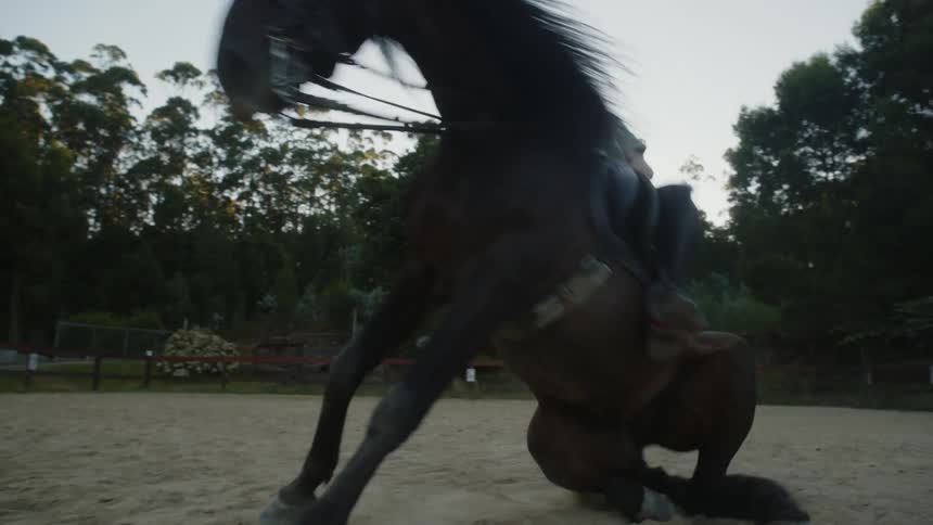Kneeling horse with rider stands up on sand as sun shines through trees in the background
