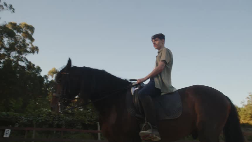 A man is riding a horse near trees as the sun shines over the woods