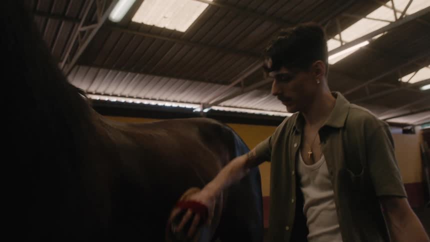 A man brushes his horse in a stable