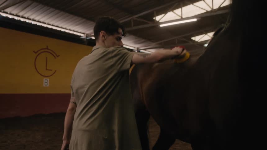 Man with mustache green shirt and tattoo brushes dark horse in the stable
