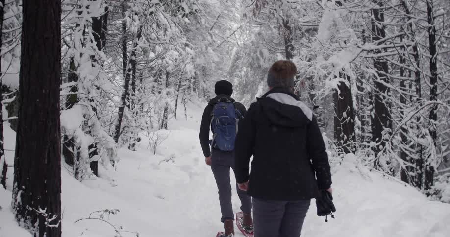 Women snow shoeing in a snow covered forest