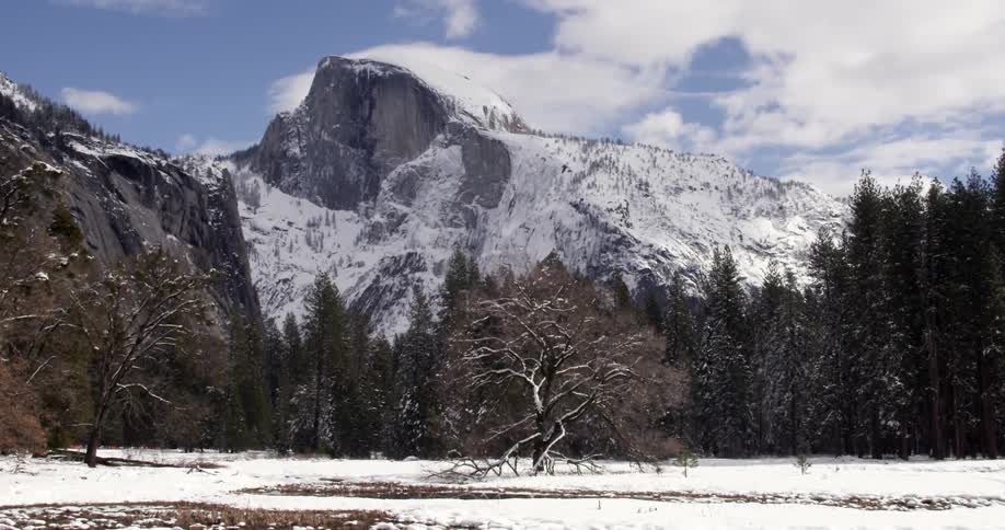 A snowy mountain with trees at the base