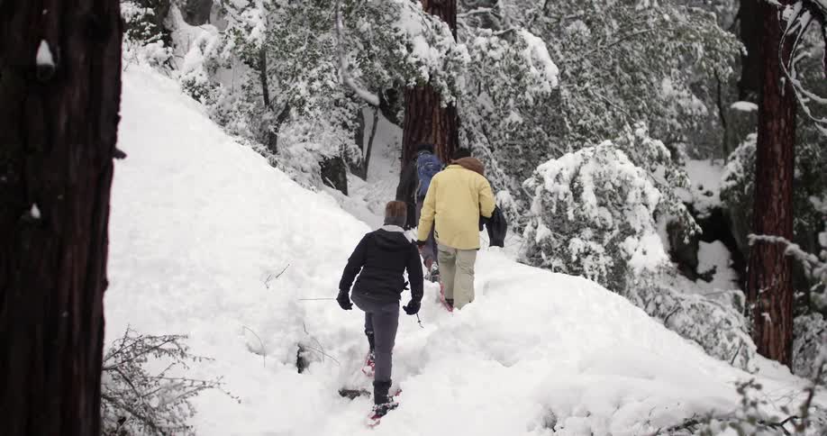 Three people hike uphill in the snow towards some trees