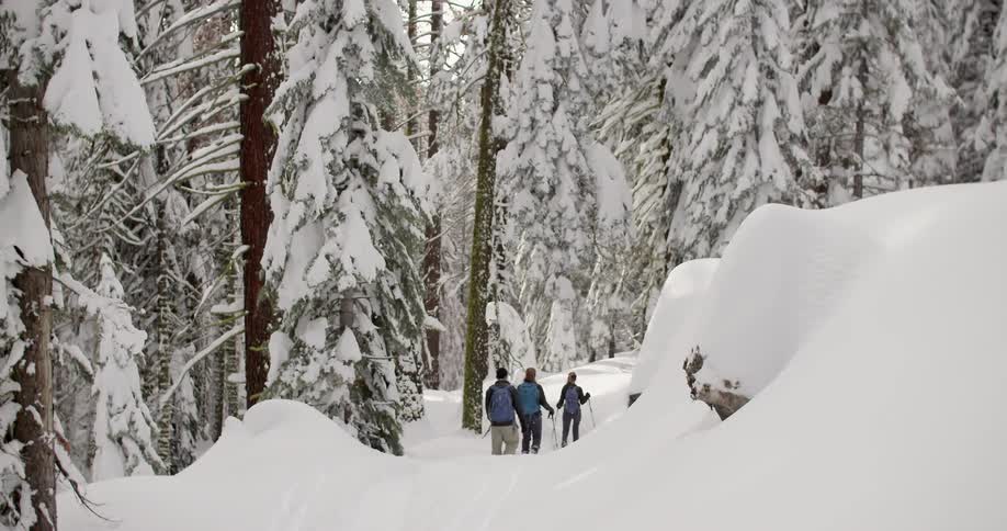 People hike in deep snow by a forest