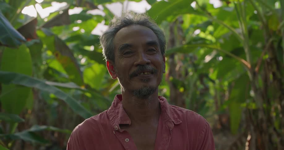 Close up of the face of a happy man standing on a tropical plantation at morning