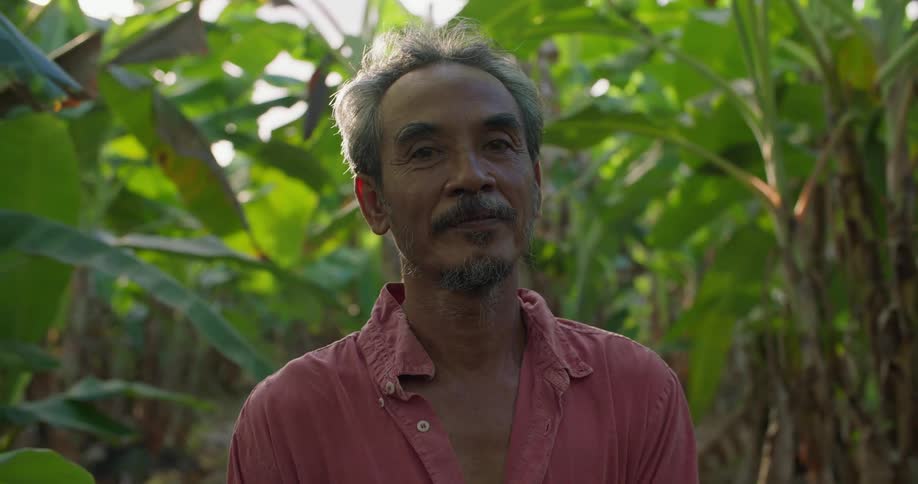 A man is standing outside near tropical plants