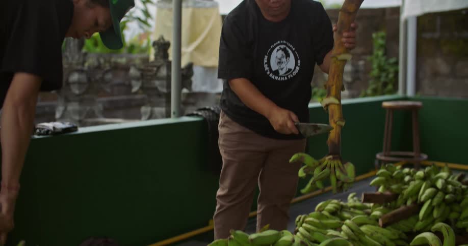 Two men are in an outdoor work area cutting bunches of bananas from cut tree branches