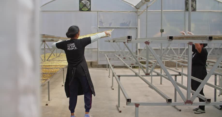 A woman carries a tray of banana chips and places on a rack for another employee