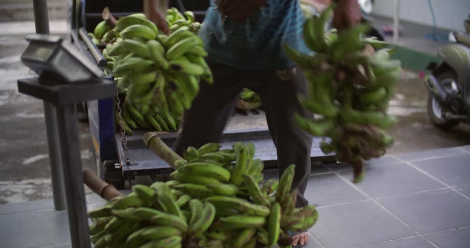 A man is unloading bananas from a truck and putting them on a scale
