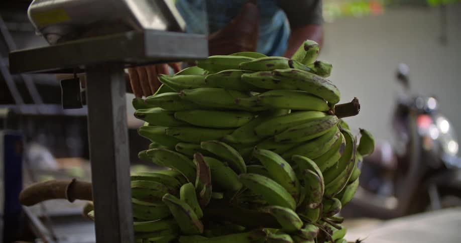 A man is putting stalks of bananas on a scale