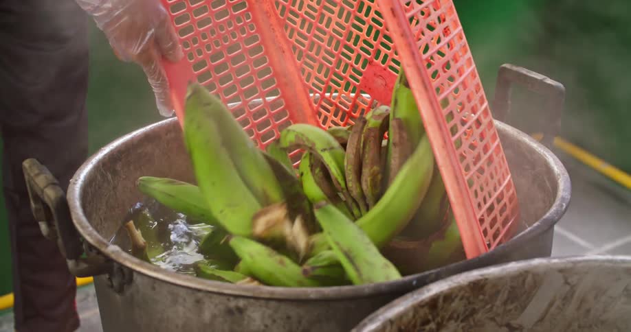 A person dumps bunches of plantains into a pot of boiling water