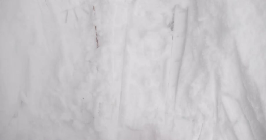 A person wearing snow shoes is walking in the snow
